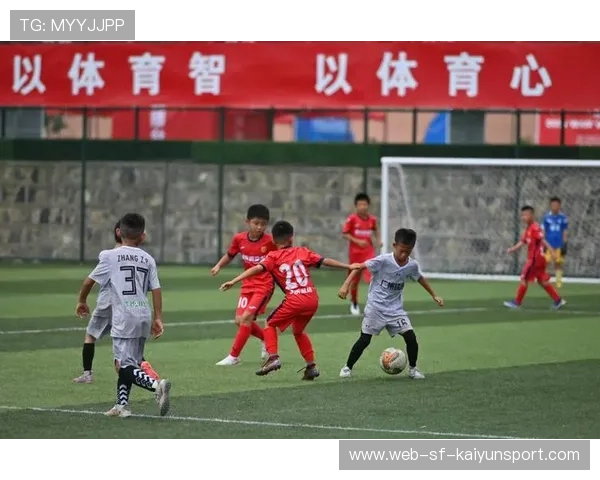 足球发展是否受到行政干预过多影响，足球影响政治